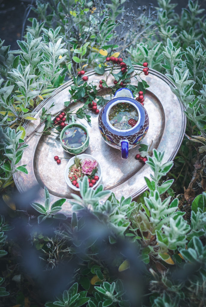 tea pot tea cup and herbal tea blend with rose and red hawthorn berries on a tray surrounded by plants