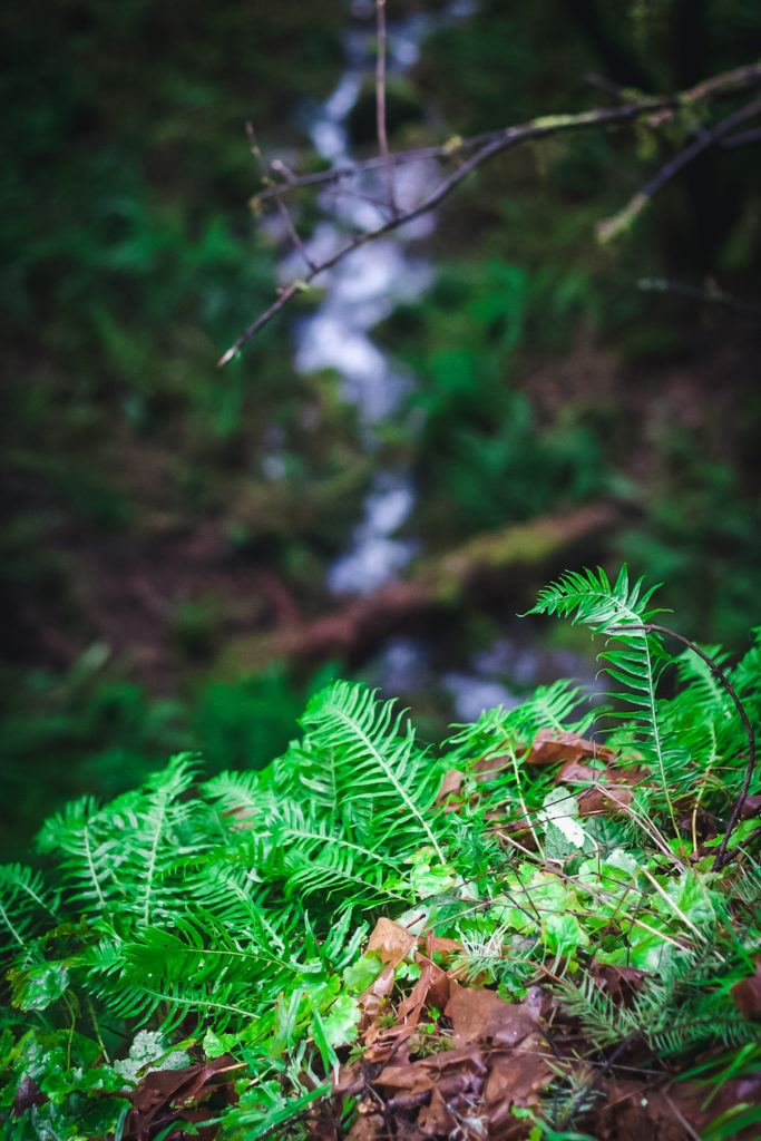 Embodiment for Aquarius Season with nature