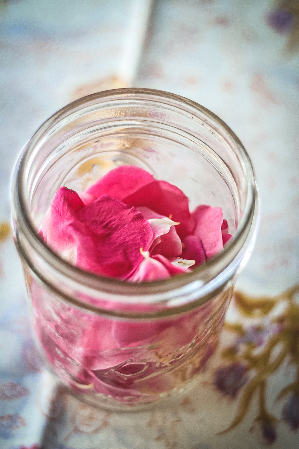 How to Make a Heart-Opening Rose Elixir