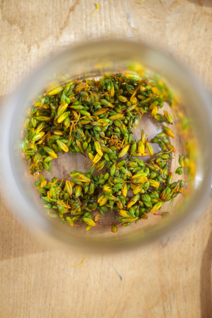 st johns wort buds in alcohol