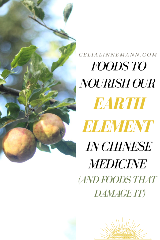 foods to nourish the earth element spleen and stomach