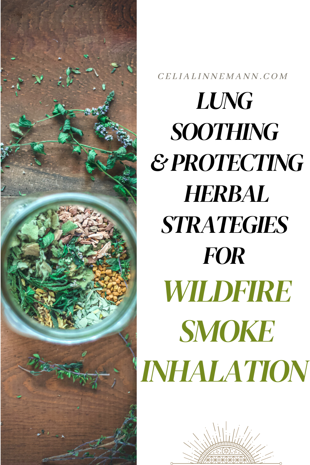 Lung Soothing Herbs for Wildfire Smoke Inhalation