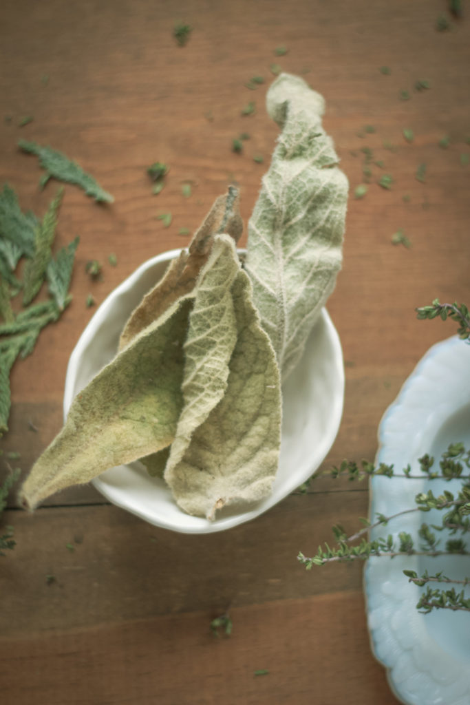 dried mullein