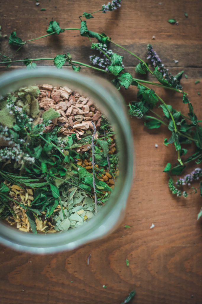 red root thyme mullein lung tea