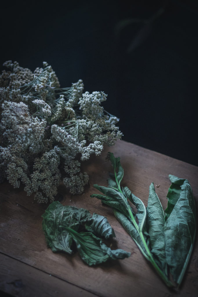 yarrow flowers and comfrey leaves