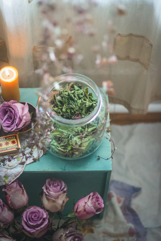 skullcap in jar with roses and candle