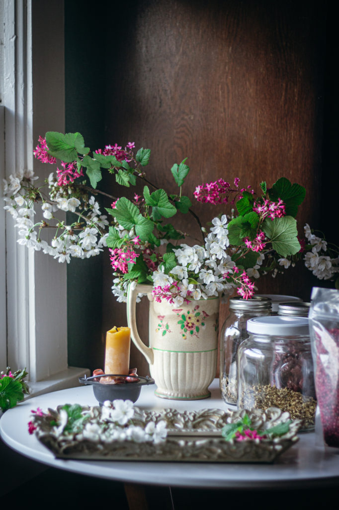 cherry blossoms and currants in pitcher on table
