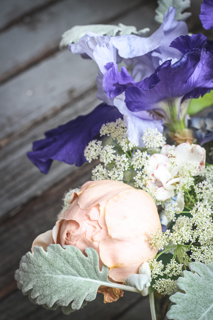 peach rose blue iris