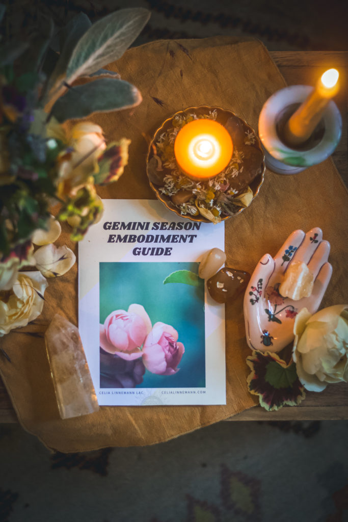 printed paper guide that says gemini season embodiment guide