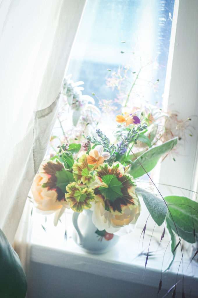 pansy geranium curtain