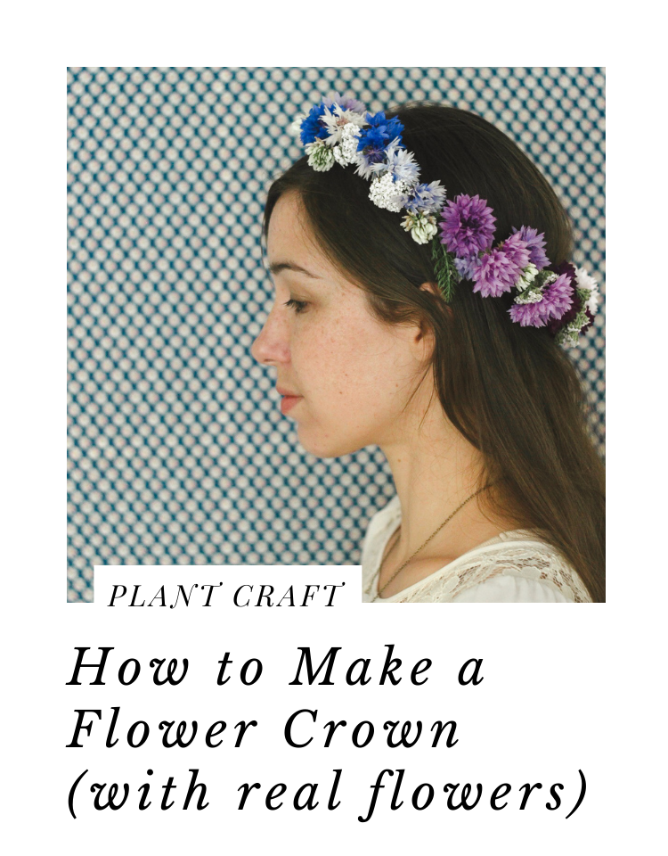 floral crown info click