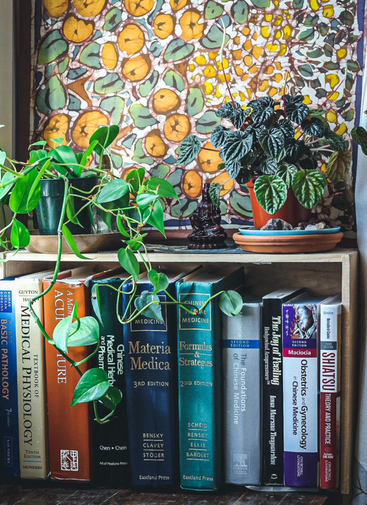 houseplants and books