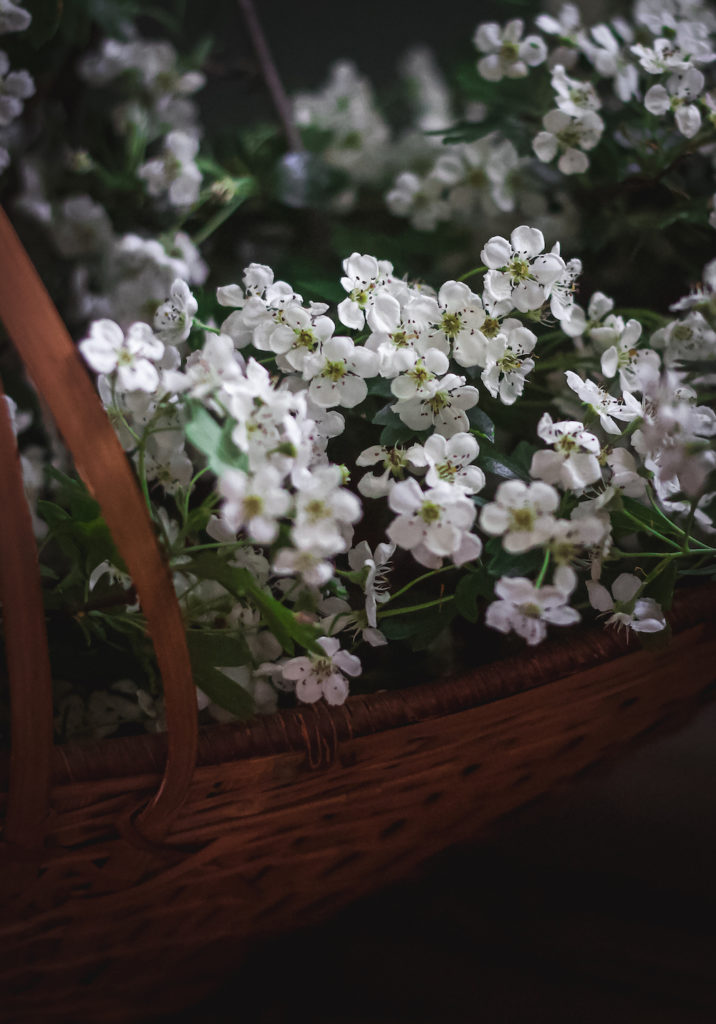 hawthorn flowers in basket