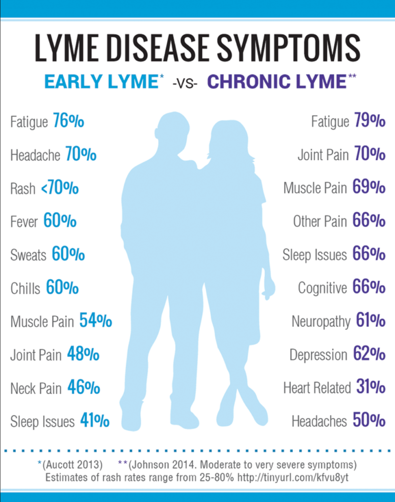 acute vs chronic lyme disease symptoms