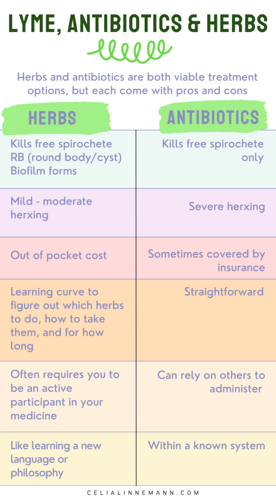 herbal treatment for Lyme disease compared to antibiotic treatment pros and cons