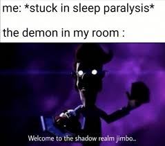 sleep paralysis shadow realm meme