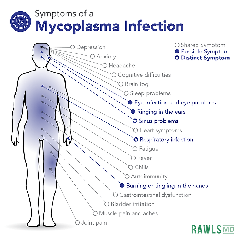 infographic about mycoplasma symptoms as a Lyme co-infection