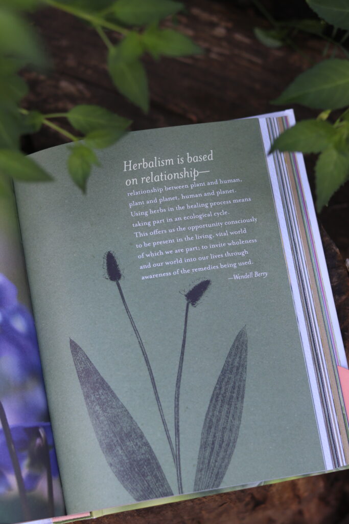 book open with a quote about herbalism on it